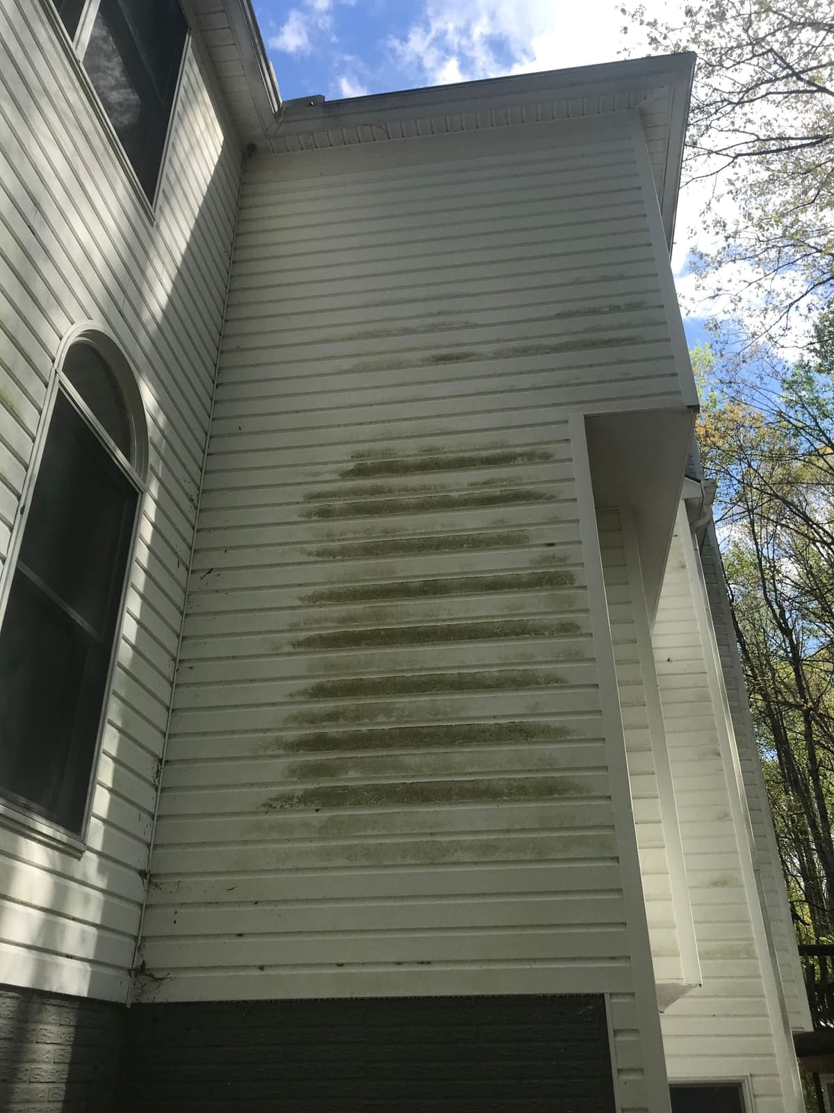 Heavy algae streaks on a siding gable end before soft washing