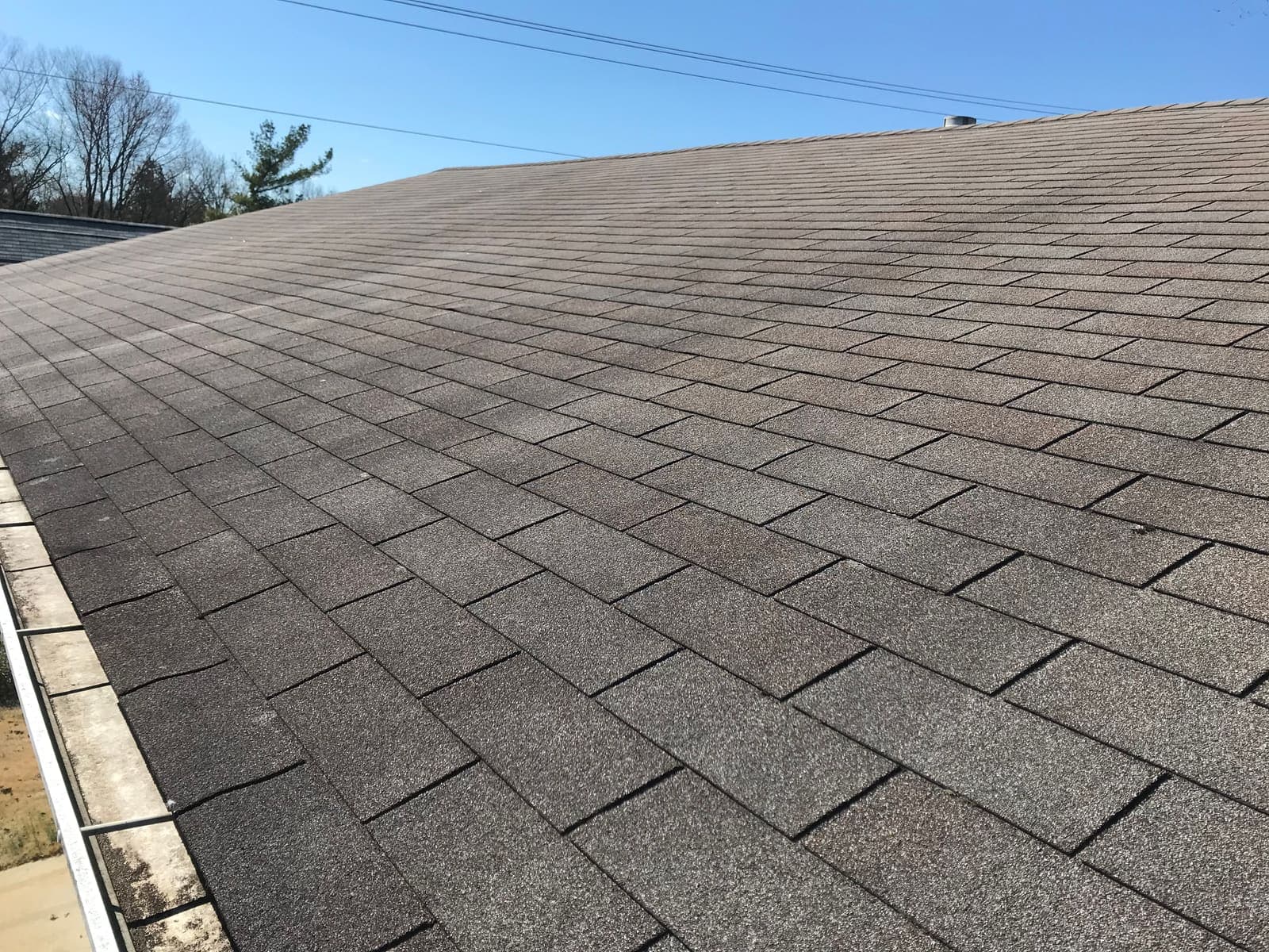 Black streaks spreading across an asphalt shingle roof
