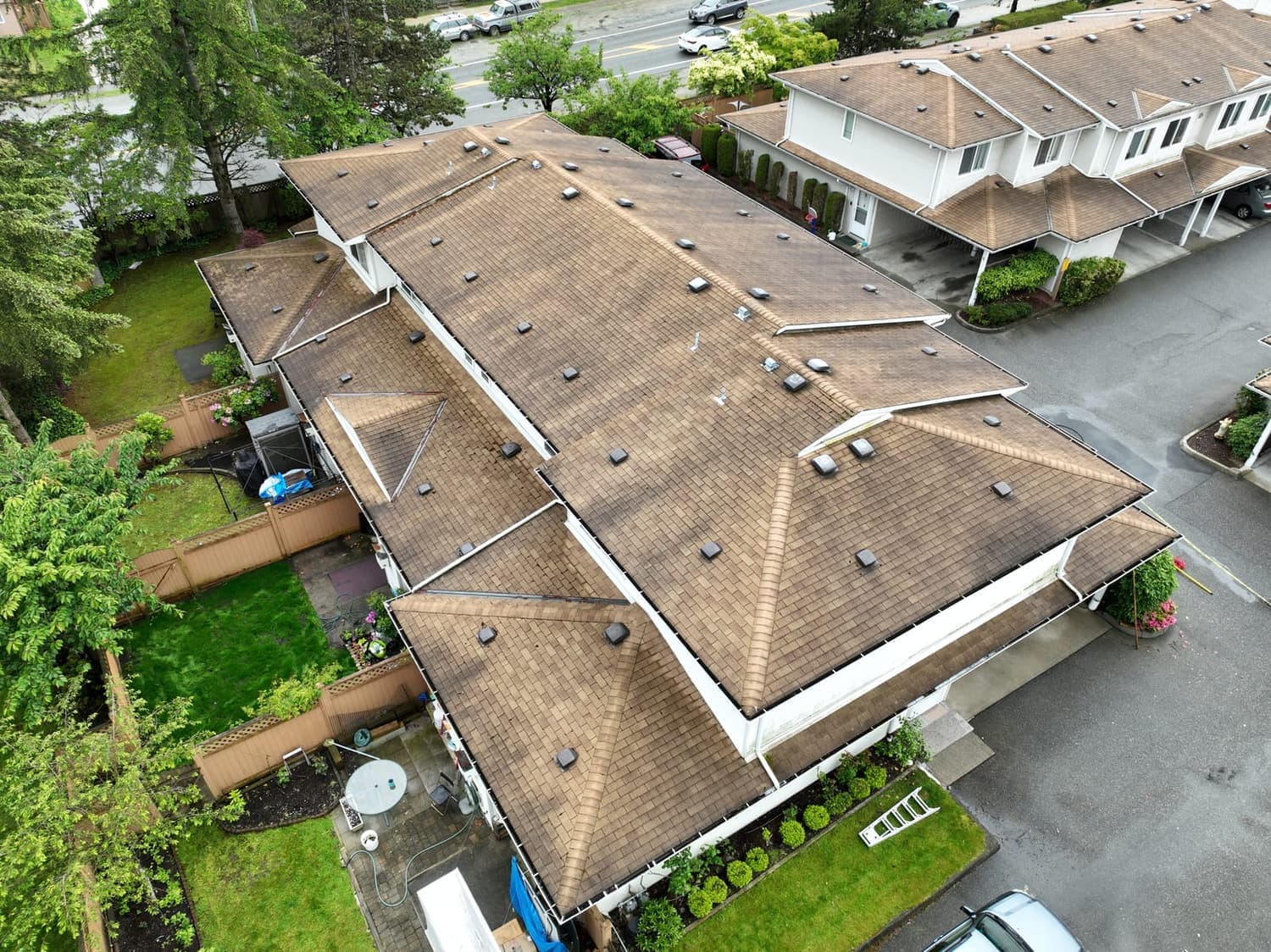 Aerial view of Lower Mainland townhouse roofs darkened with moss and algae