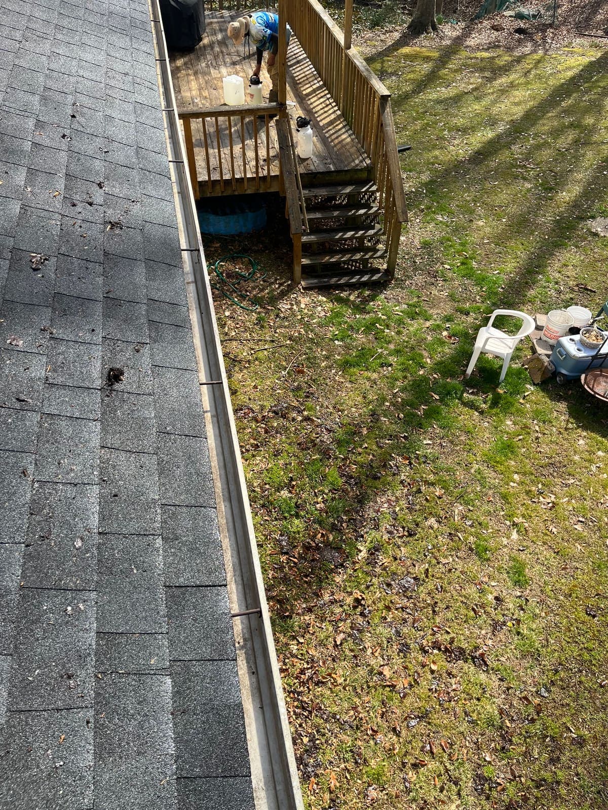 Moss along the shingle edge of a roof before cleaning