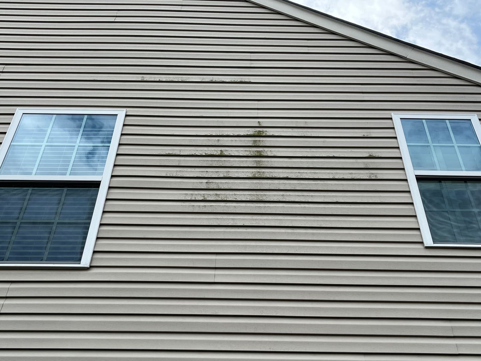 Black streaks running down siding beside windows before washing