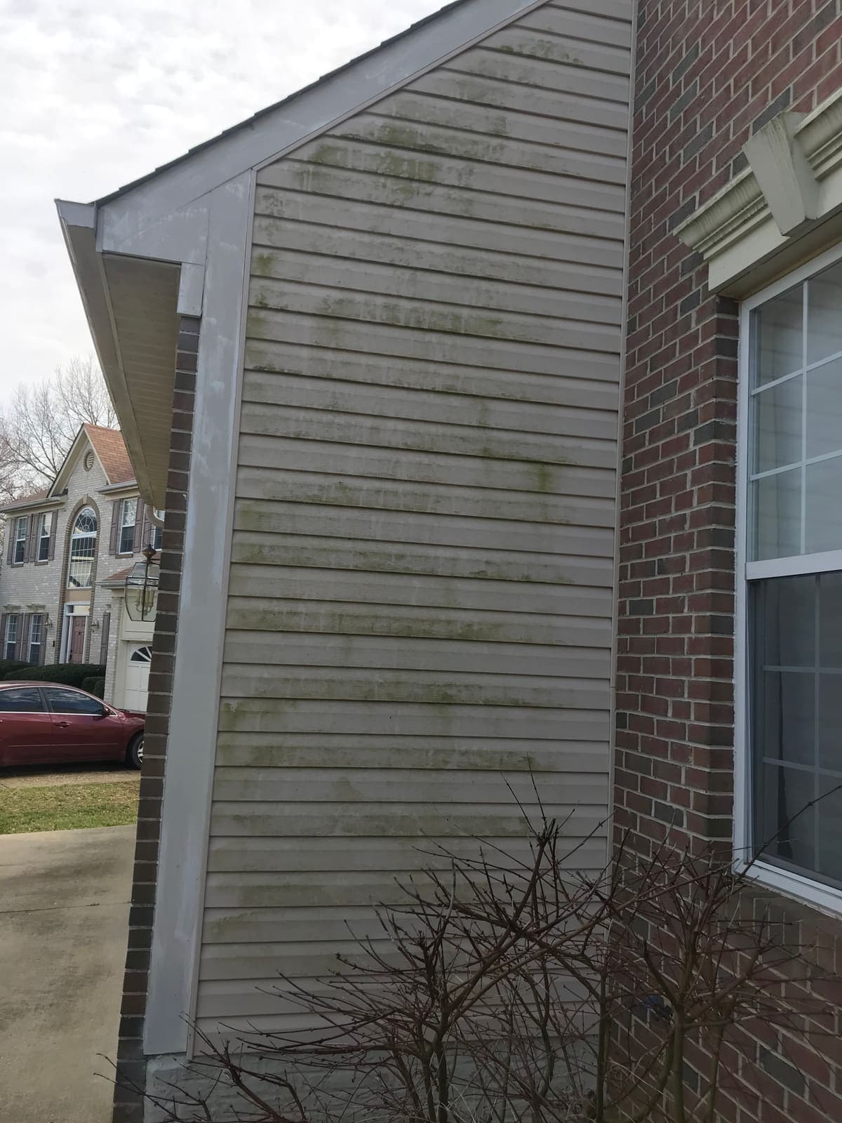 Algae building on a siding corner before cleaning