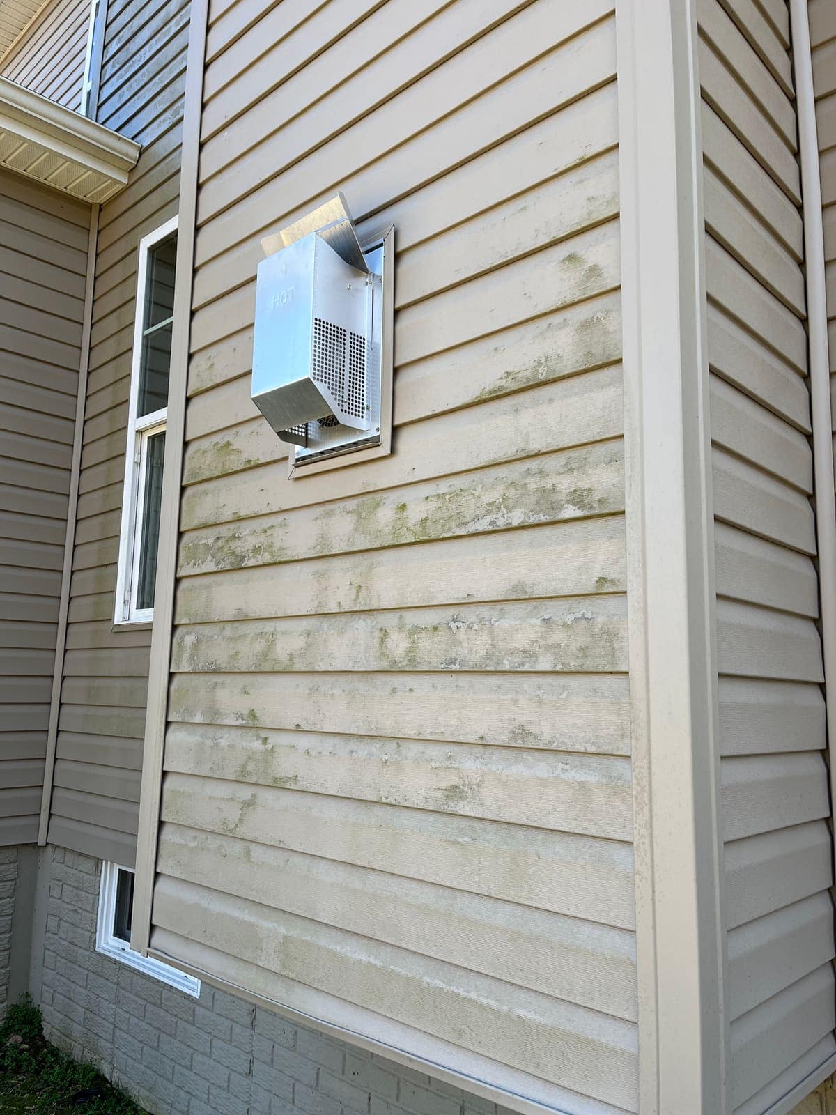 Algae around a dryer vent on siding before cleaning