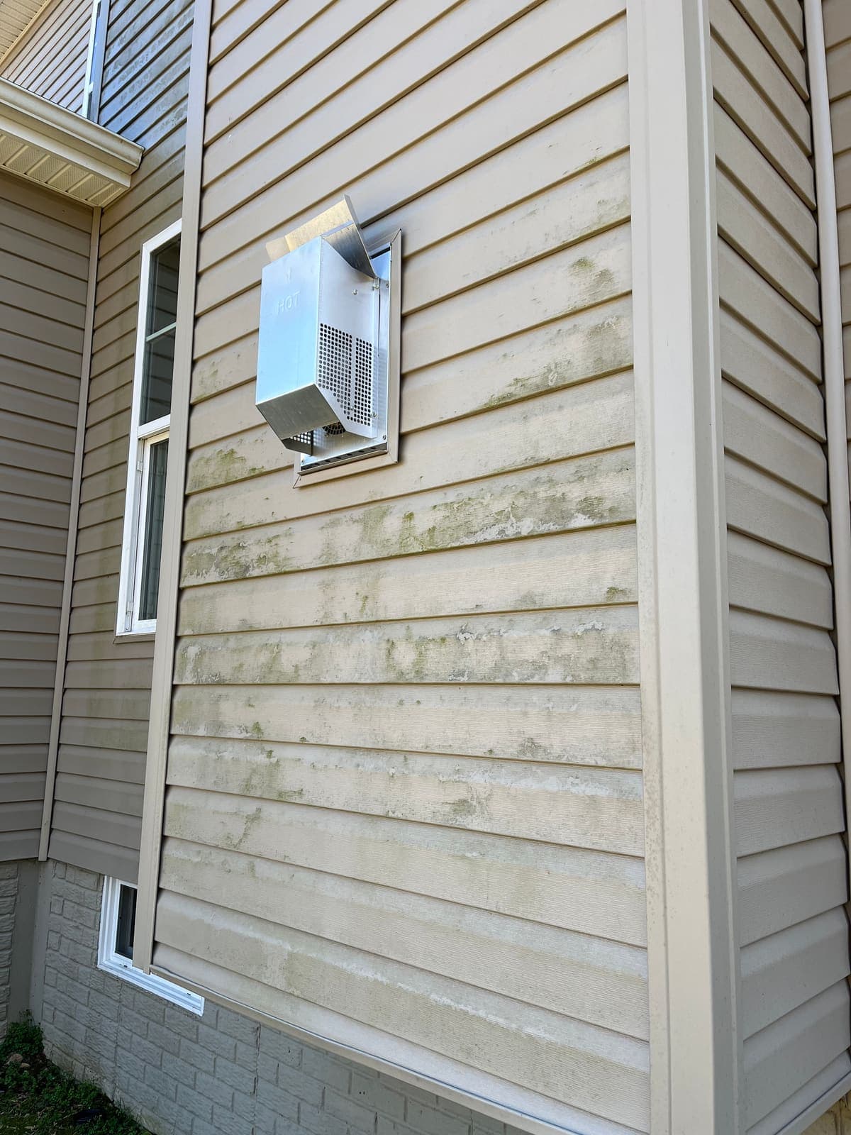 Algae around a dryer vent on siding before cleaning