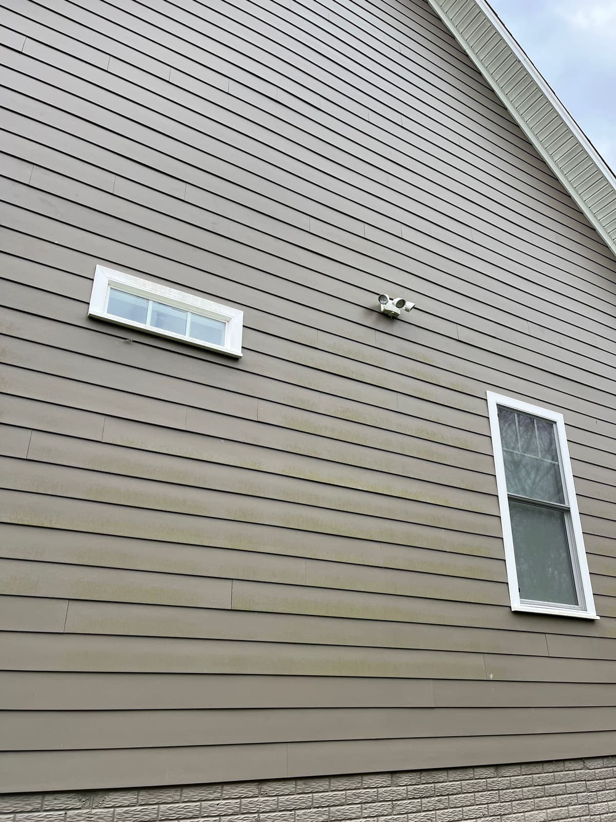 Algae around a vent and window on siding before cleaning