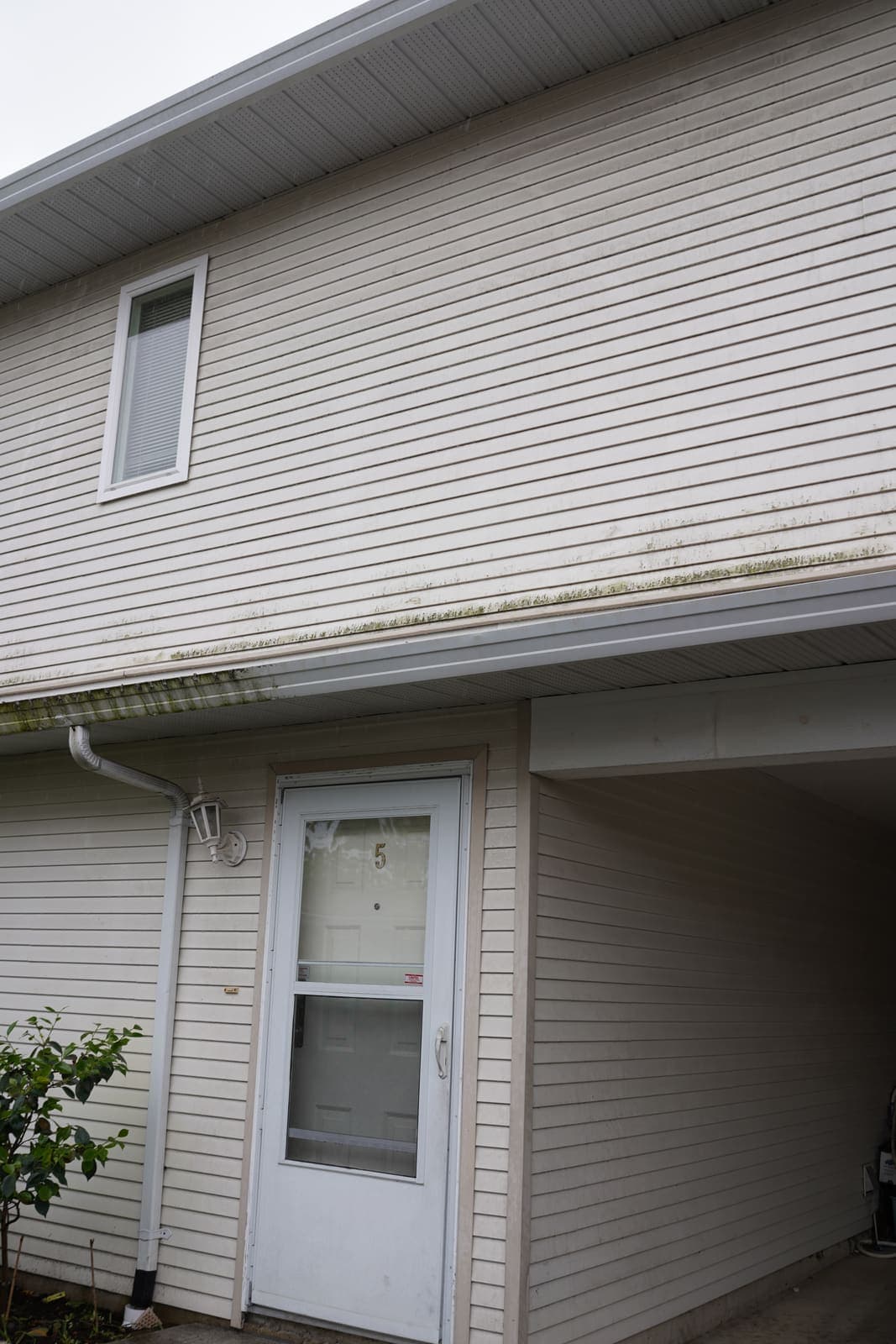Townhouse siding and gutter line before cleaning