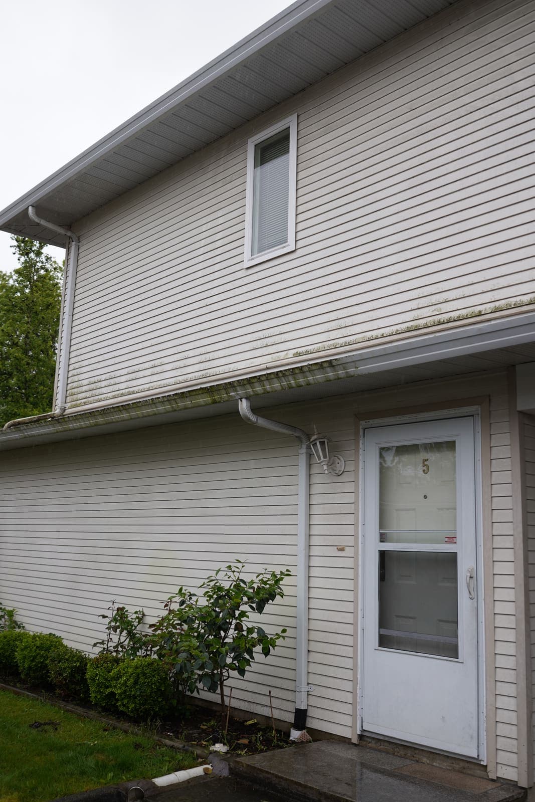 Townhouse vinyl siding and entry door before house washing