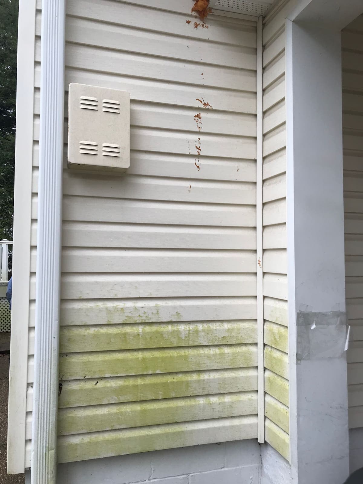 Dirt streaks running down vinyl siding before house washing