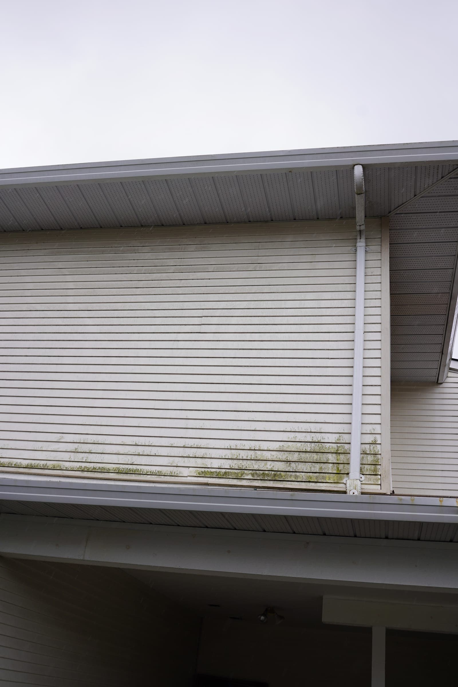 Algae-stained siding of the kind a pre-listing clean addresses