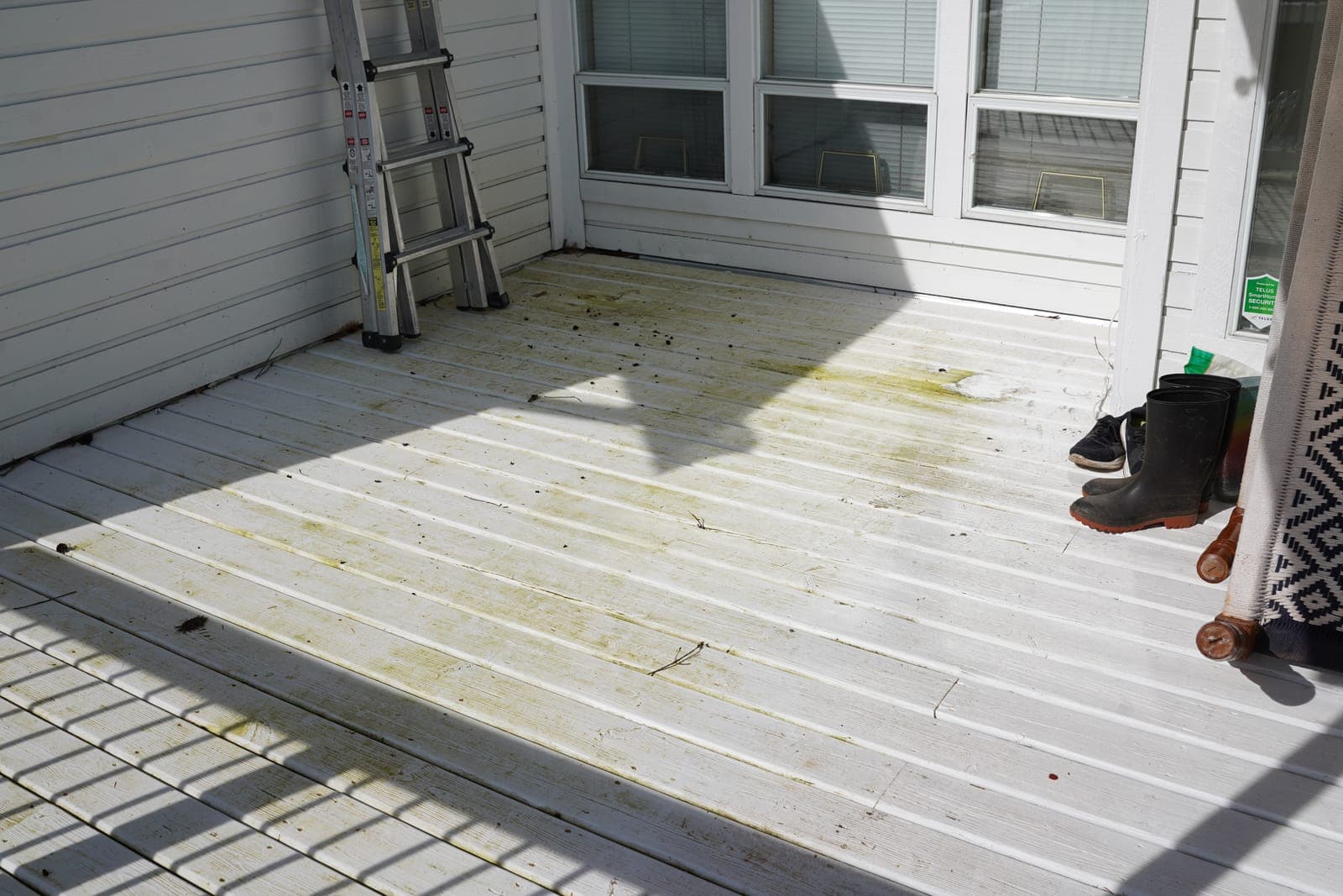 A weathered wood deck with algae before cleaning