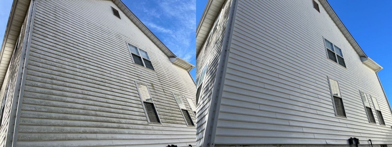 Before and after soft washing green algae from house siding, with landscaping directly below the wall