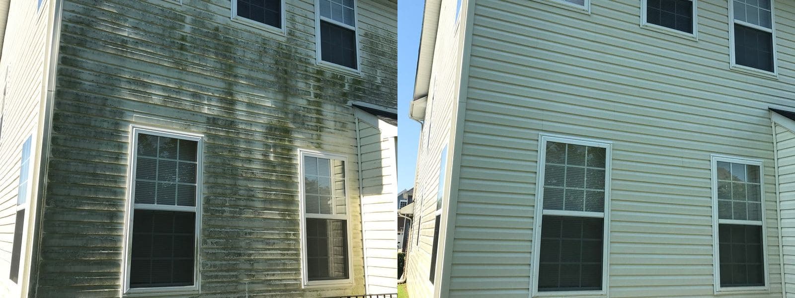 Before and after soft washing heavy moss and algae from a heavily shaded home's siding