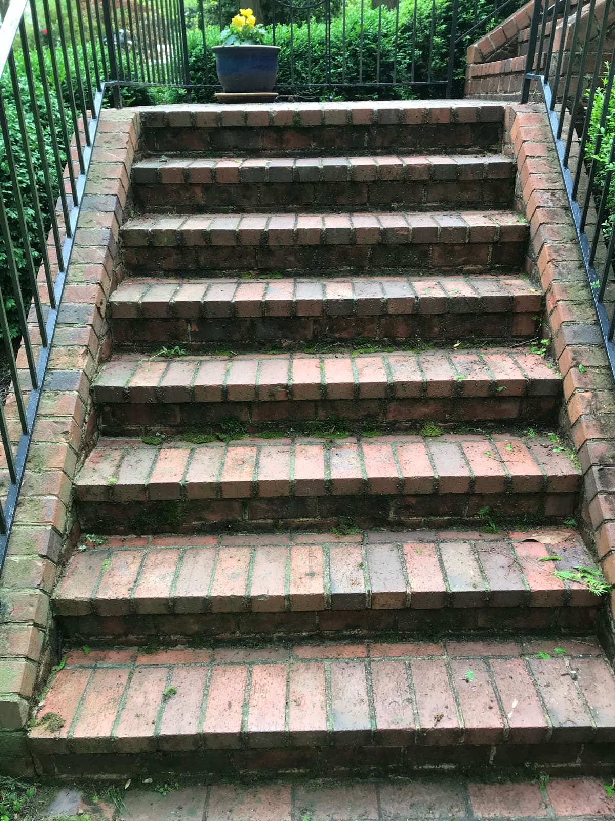 Brick steps covered in moss before cleaning