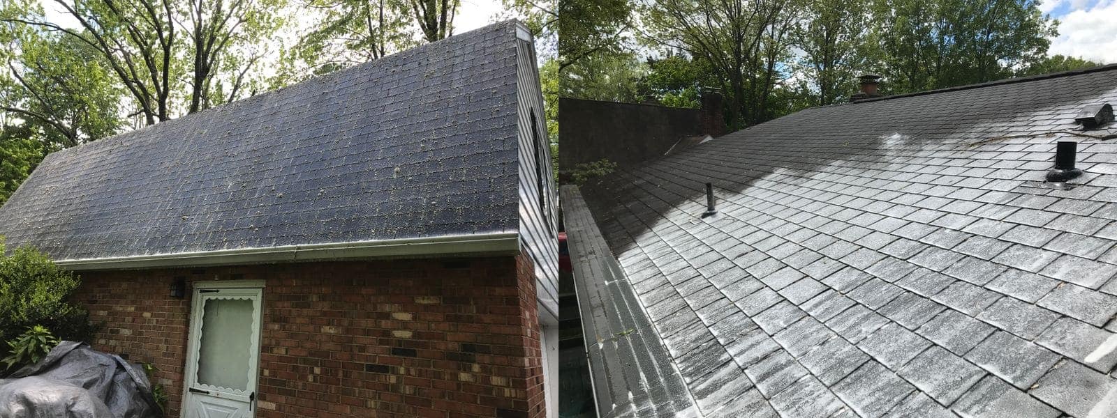 Before and after soft-wash roof cleaning, showing black algae streaks removed from asphalt shingles